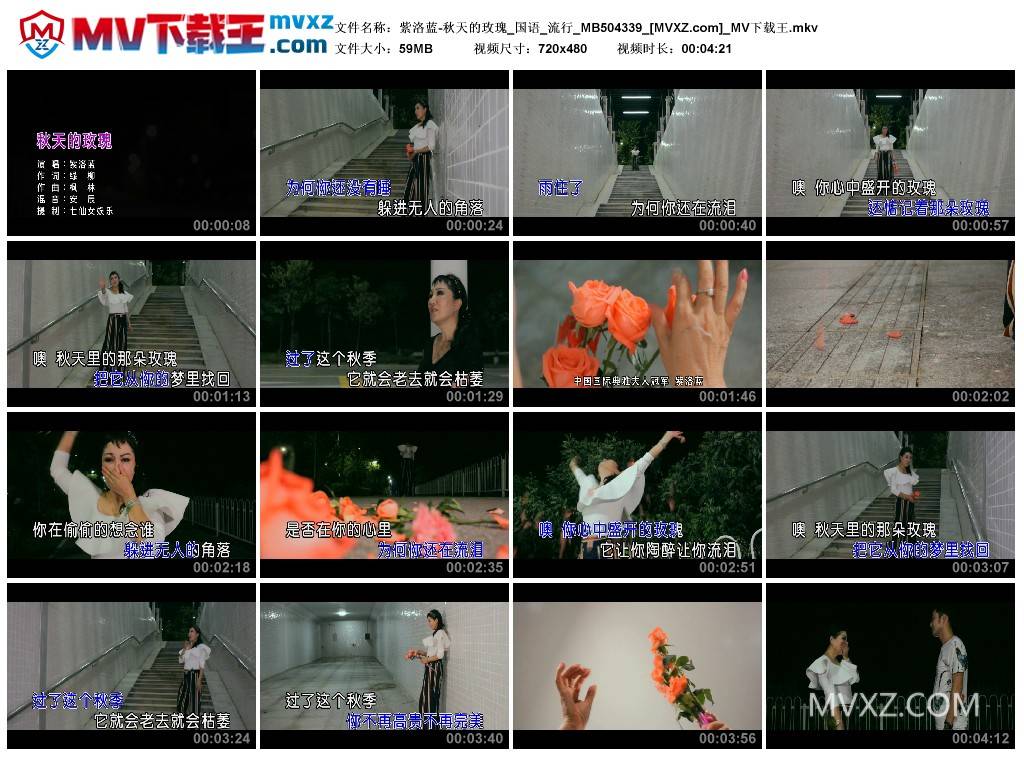 紫洛蓝-秋天的玫瑰_国语_流行_MB504339